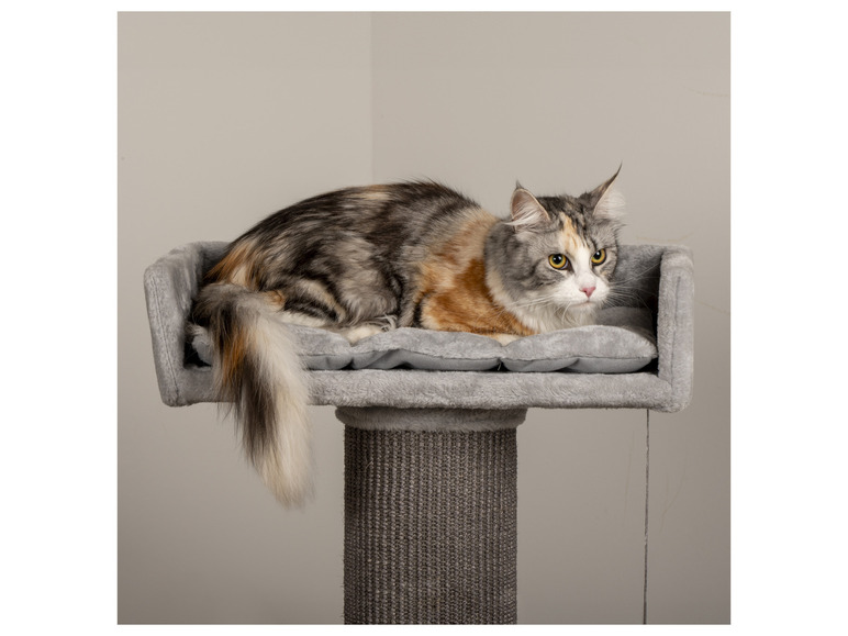 Eine Katze auf einem Kratzbaum mit einem grauen Bettchen