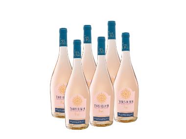 6 x 0,75-l-Flasche Weinpaket Terres du Midi Rosé IGP trocken, Roséwein
