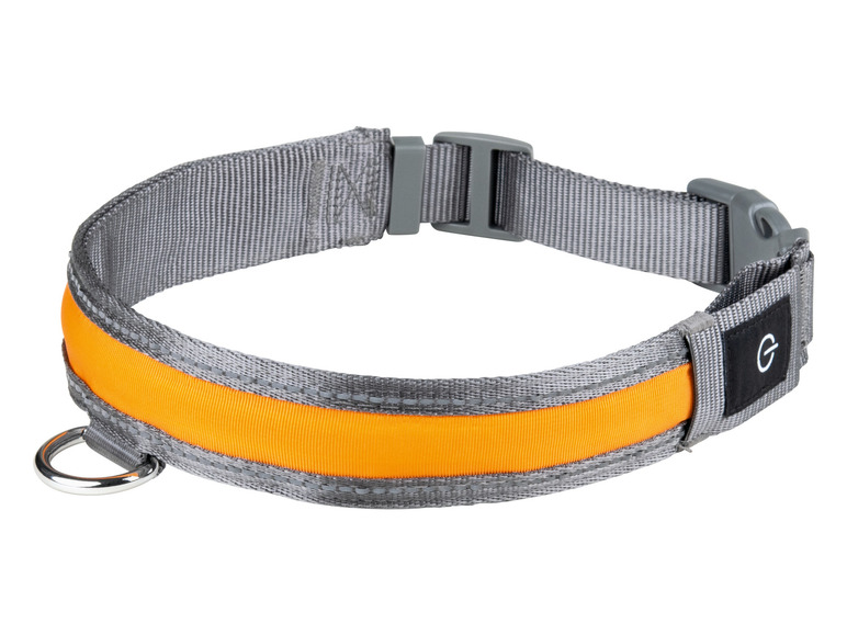 Gehe zu Vollbildansicht: zoofari® LED-Hundeleuchtband, mit wiederaufladbarem Akku - Bild 9