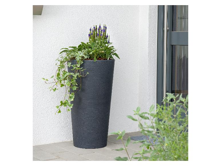 Großer, dunkelgrauer Blumentopf mit Veronika und Efeu an einer Tür.