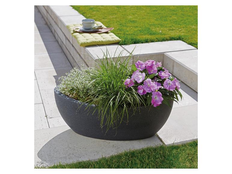 Großer, dunkelgrauer Blumentopf mit violetten Blüten und Gräsern.