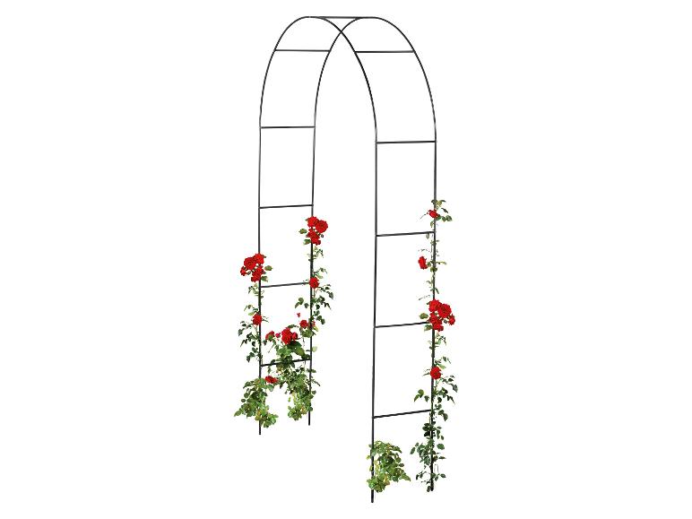 Schwarzer Rosenbogen mit roten Kletterrosen.