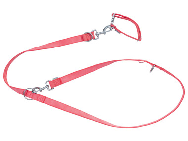 Free Sunday Hundehalsband Mit Dinosaurier-Motiv Und Schleife – Niedliches Accessoire Für Deinen Hund