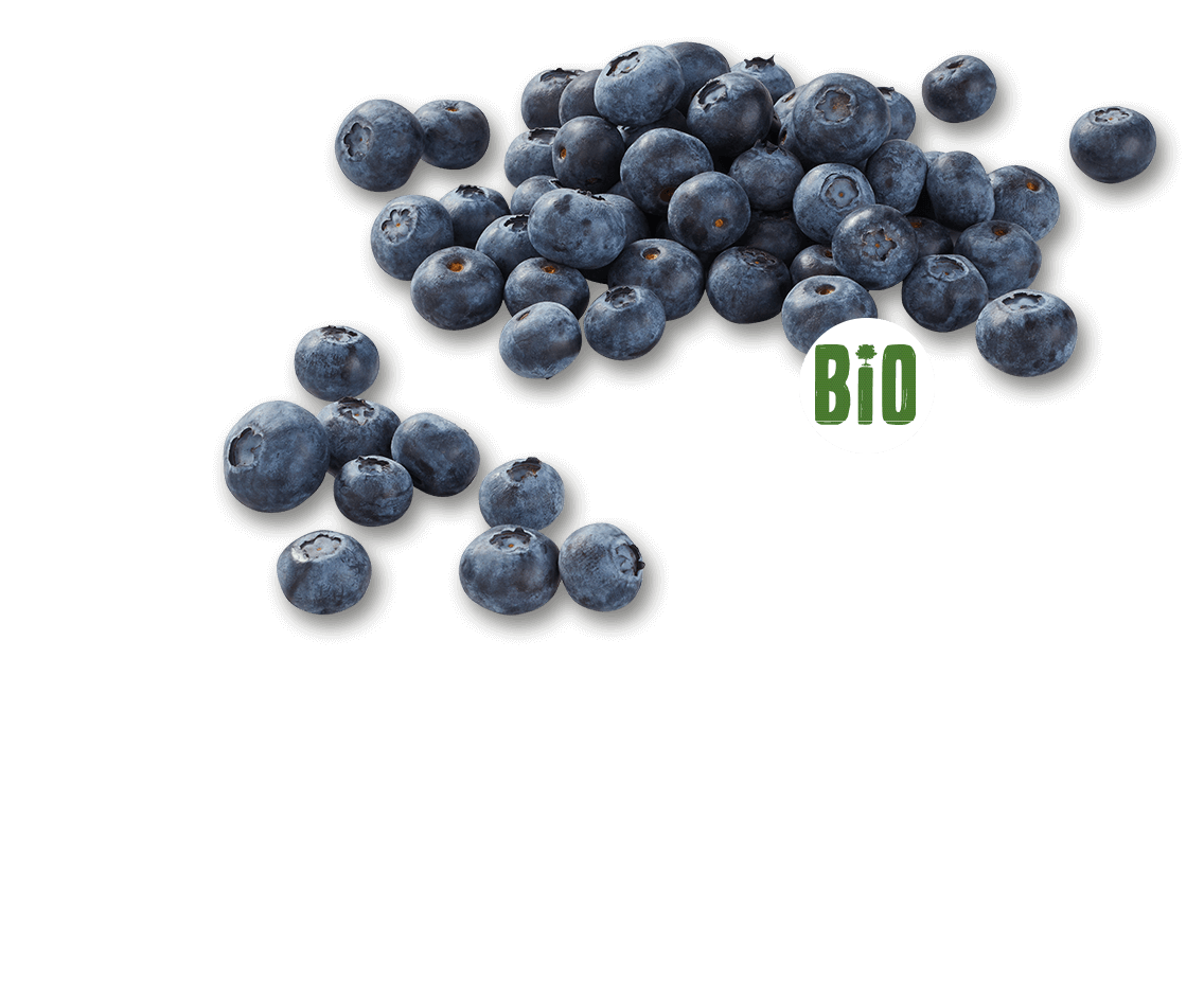 Montag, 26.04. Lidl.de