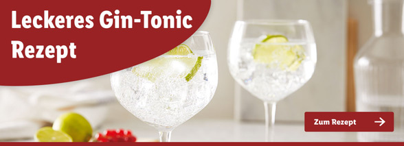 Gin-Tonic