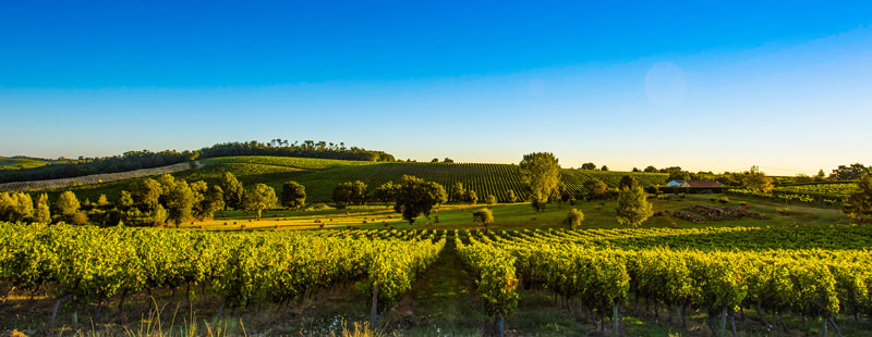 Château La Mission Haut-Brion Pessac-Leognan Cru Class…