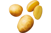Bioland Kartoffeln