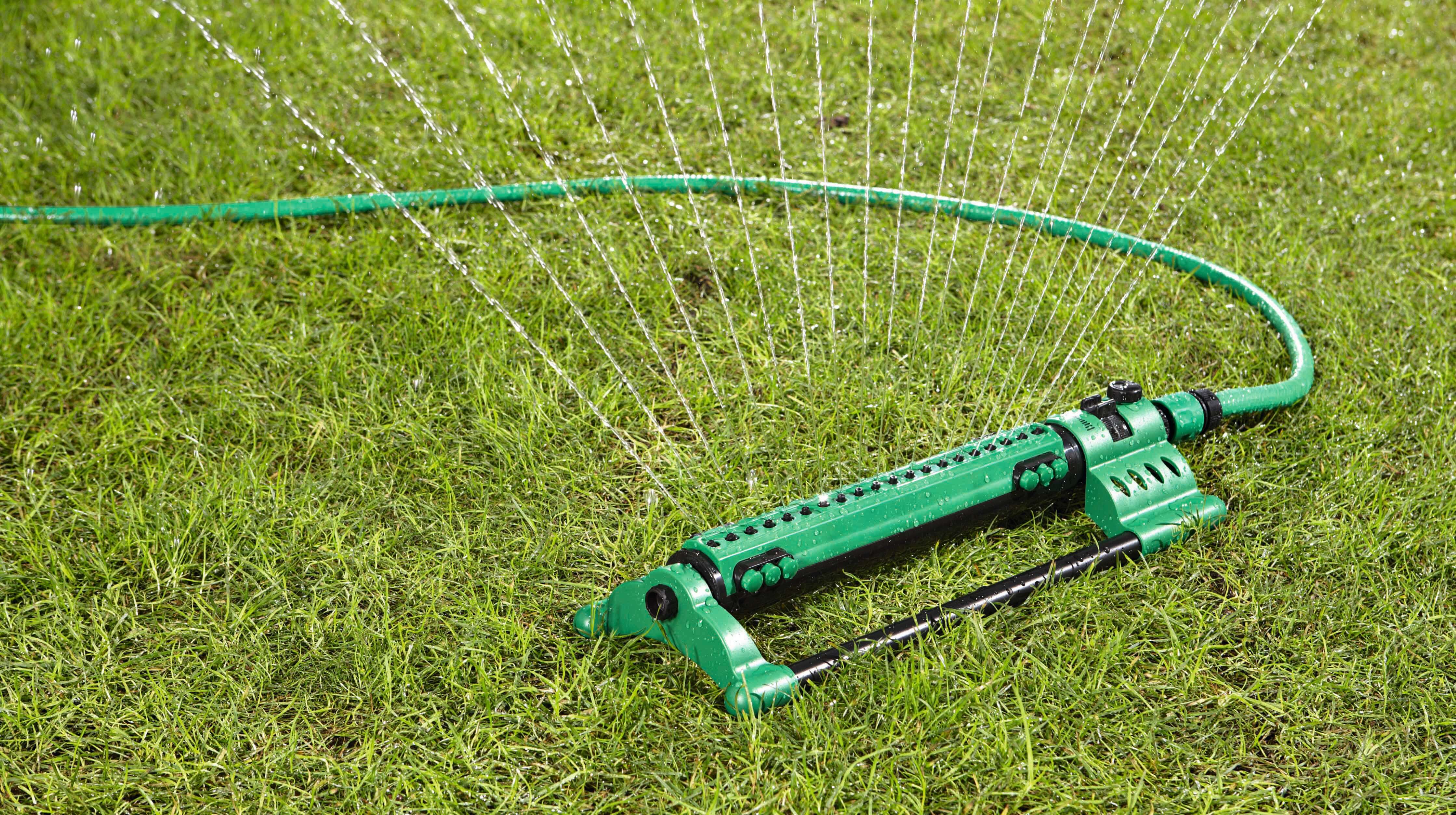 Rasenpflege – Tipps für einen schönen Rasen - Lidl.de