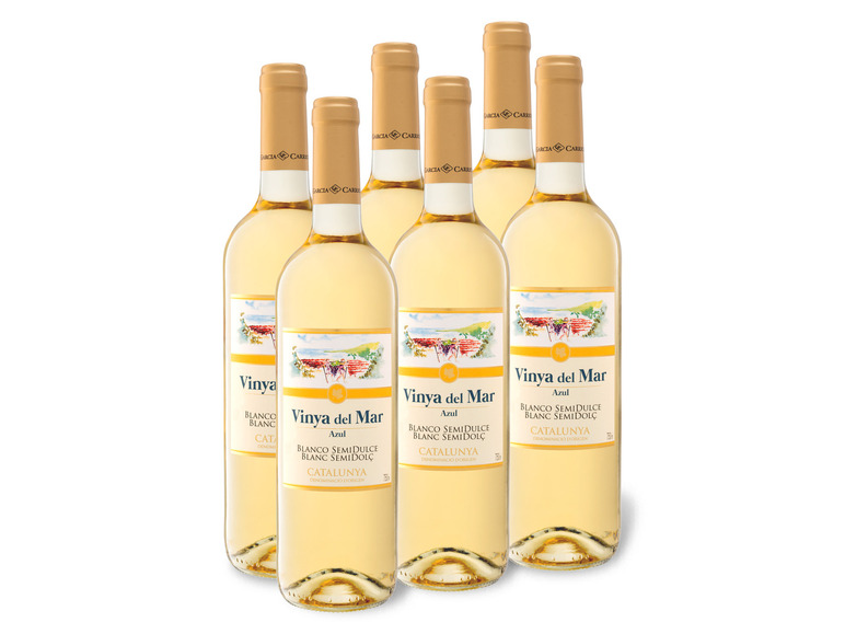 Gehe zu Vollbildansicht: 6 x 0,75-l-Flasche Weinpaket Vinya del Mar Azul Catalunya DO halbtrocken, Weißwein - Bild 1
