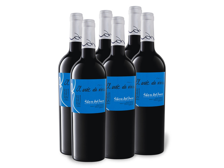 Gehe zu Vollbildansicht: 6 x 0,75-l-Flasche Weinpaket El Arte de Vivir Tempranillo Ribera del Duero DO trocken, Rotwein - Bild 1