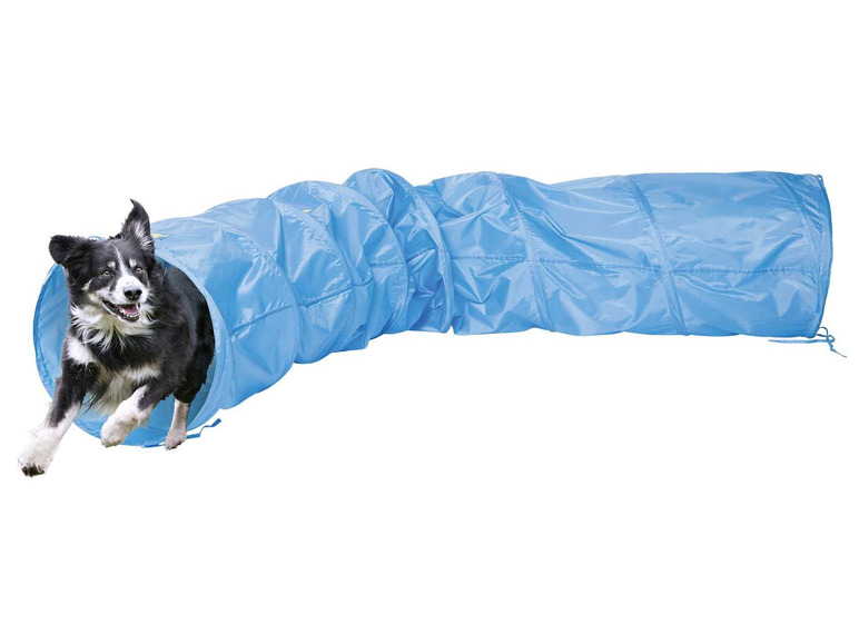 ZOOFARI® Hunde Agility Set Lidl.de