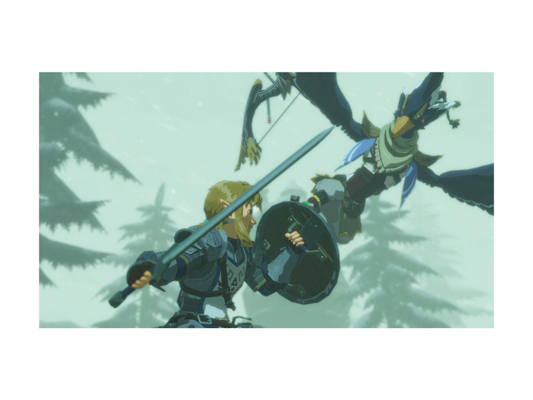 Gehe zu Vollbildansicht: Nintendo Hyrule Warriors: Age of Calamity - Bild 5