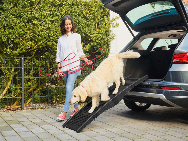 Gehe zu Vollbildansicht: ZOOFARI® Hunderampe, faltbar, Ein- und Ausstiegshilfe für Autos, 40 kg Belastbarkeit - Bild 2