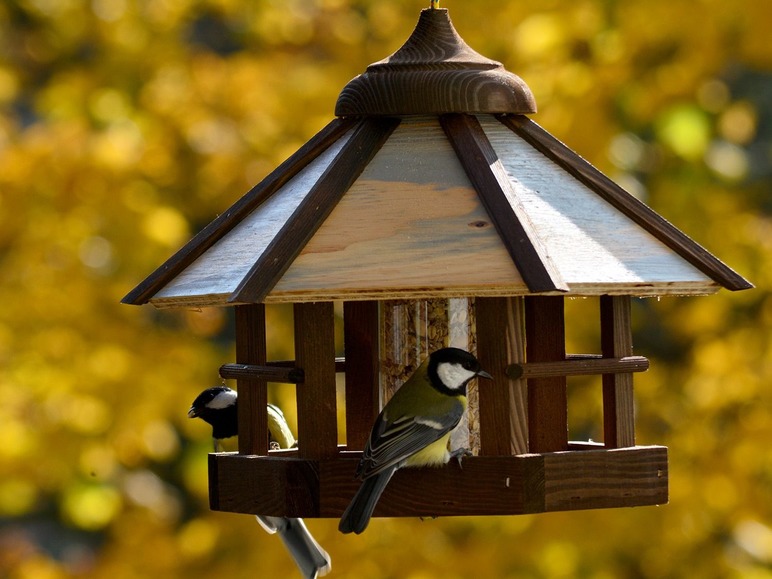 Gehe zu Vollbildansicht: dobar Vogelhaus "Camouflage" mit Futter-Silo zum Aufhängen - Bild 7