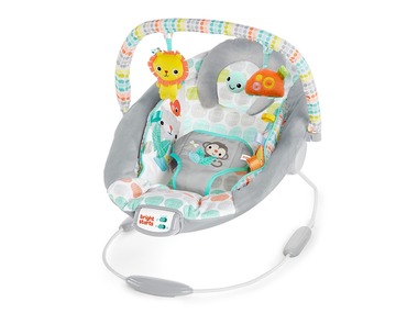 Bright Starts™ Cradling Bouncer - Whimsical Wild