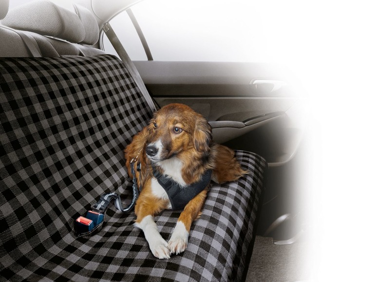 Gehe zu Vollbildansicht: ZOOFARI® Autodecke Hunde, 4 Eck-Gummizüge, mit Öffnungen für Sicherheitsgurte, - Bild 4