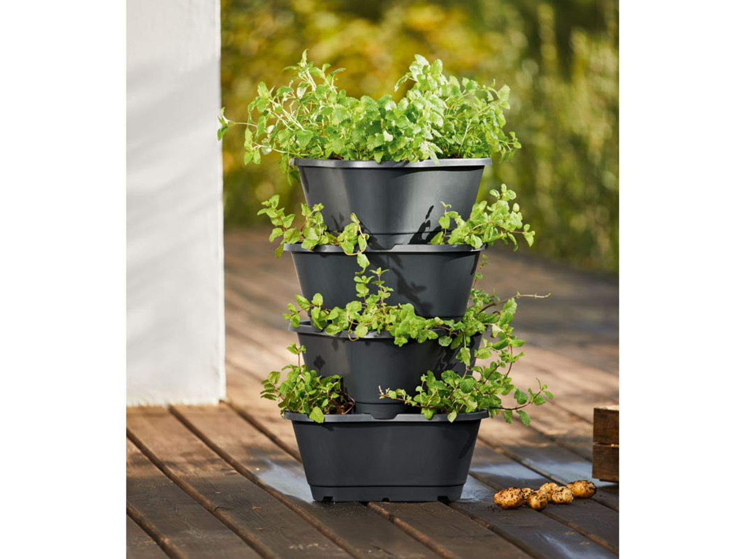 PARKSIDE® Kartoffel- und Pflanzturm, 4-teilig, stapelbar - Lidl.de