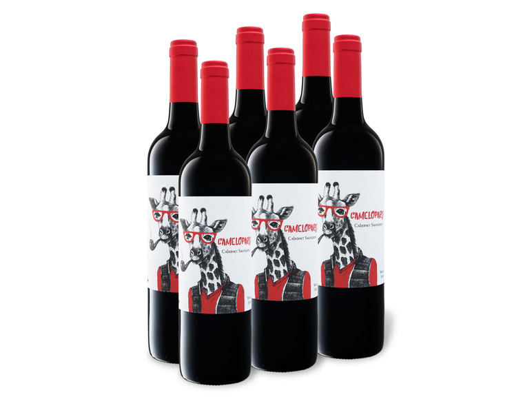 Gehe zu Vollbildansicht: 6 x 0,75-l-Flasche Weinpaket Camelopard Cabernet Sauvignon VdlT trocken, Rotwein - Bild 1