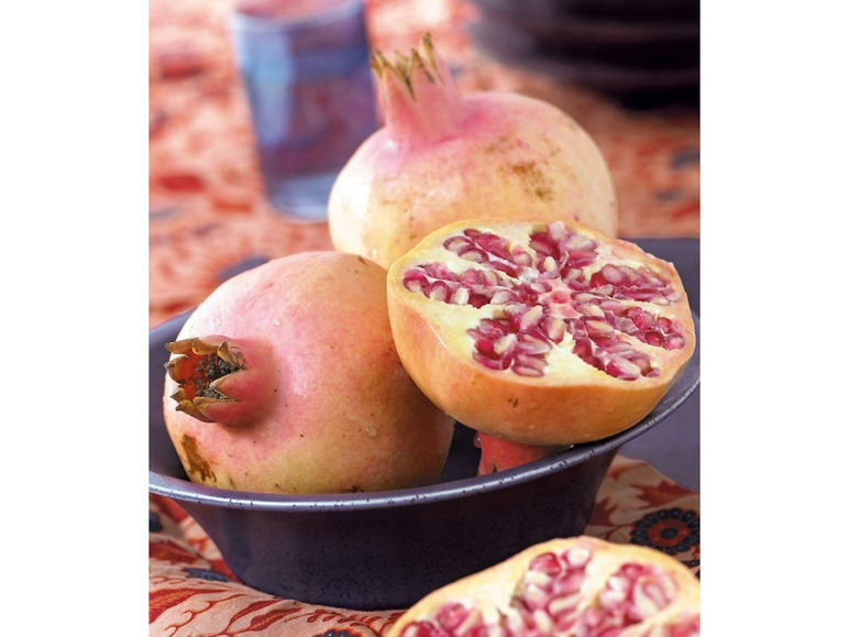 Gehe zu Vollbildansicht: Granatapfel, 1 Pflanze Punica granatum - Bild 3