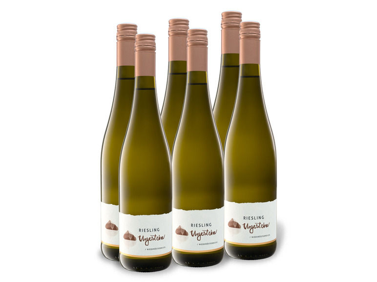 Gehe zu Vollbildansicht: 6 x 0,75-l-Flasche Weinpaket Riesling Urgestein Niederösterreich trocken, Weißwein - Bild 1