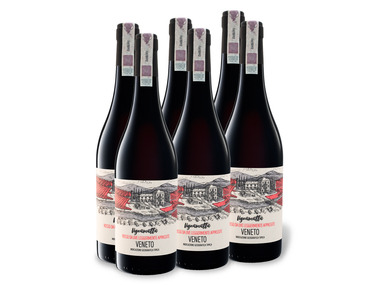 6 x 0,75-l-Flasche Weinpaket Vignamatta Veneto IGT halbtrocken, Rotwein