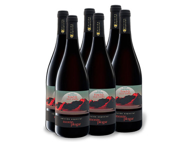 6 x 0,75-l-Flasche Weinpaket Monte Plogar Carinena DOP trocken, Rotwein