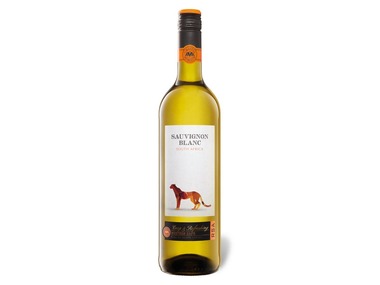 CIMAROSA Sauvignon Blanc Südafrika trocken, Weißwein 2020