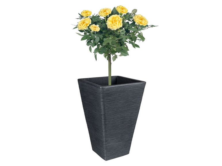 Gehe zu Vollbildansicht: PARKSIDE® Pflanztopf, Höhe 55 cm, frostsicher - Bild 4