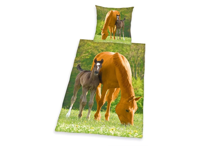 Gehe zu Vollbildansicht: Herding Wendebettwäsche Renforcé »Pferde«, 135x200 cm, Knopfverschluss, aus Baumwolle - Bild 1