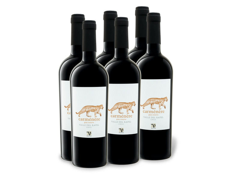 Gehe zu Vollbildansicht: 6 x 0,75-l-Flasche Weinpaket VIAJERO Valle del Rapel Carménère Gran Reserva trocken, Rotwein - Bild 1