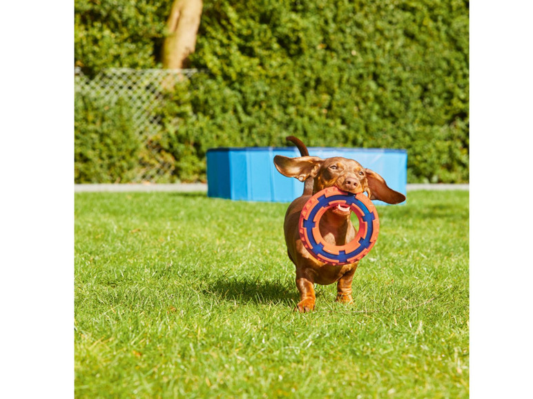 Gehe zu Vollbildansicht: Nerf Dog Hundespielzeug - Bild 5