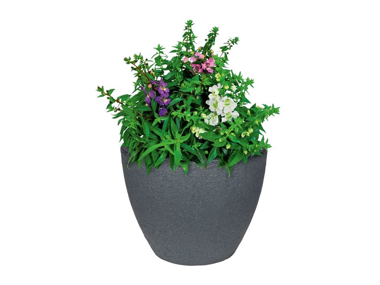 Gehe zu Vollbildansicht: PARKSIDE® Pflanztopf, rund, 50 cm Durchmesser, aus Kunststoff, frost- und UV-beständig - Bild 5