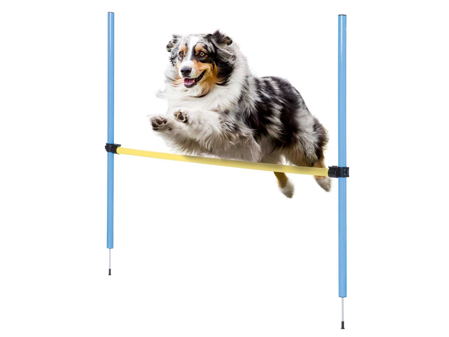 ZOOFARI® Hunde Agility Set Lidl.de