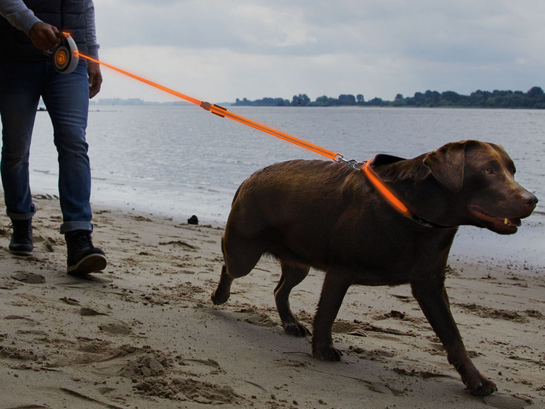 Gehe zu Vollbildansicht: ZOOFARI® Hundeleine mit Rückzugsmechanismus, mit LED - Bild 5