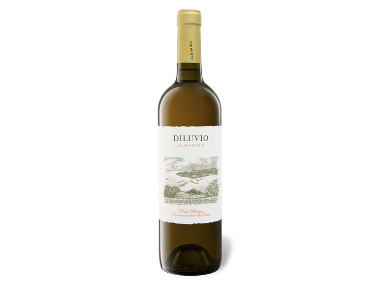Gehe zu Vollbildansicht: Diluvio Albariño Rias Baixas DO trocken, Weißwein 2020 - Bild 1