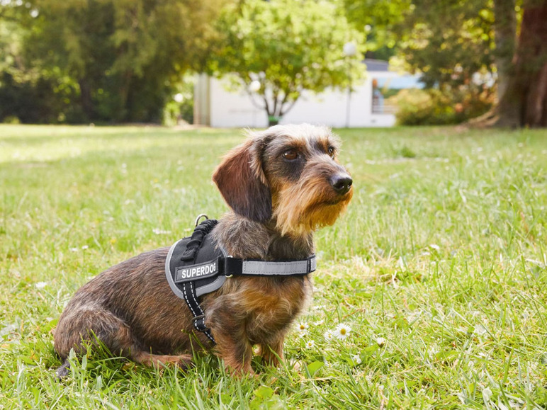Gehe zu Vollbildansicht: ZOOFARI® Hundegeschirr, mit weicher Fütterung, reflektierend - Bild 7