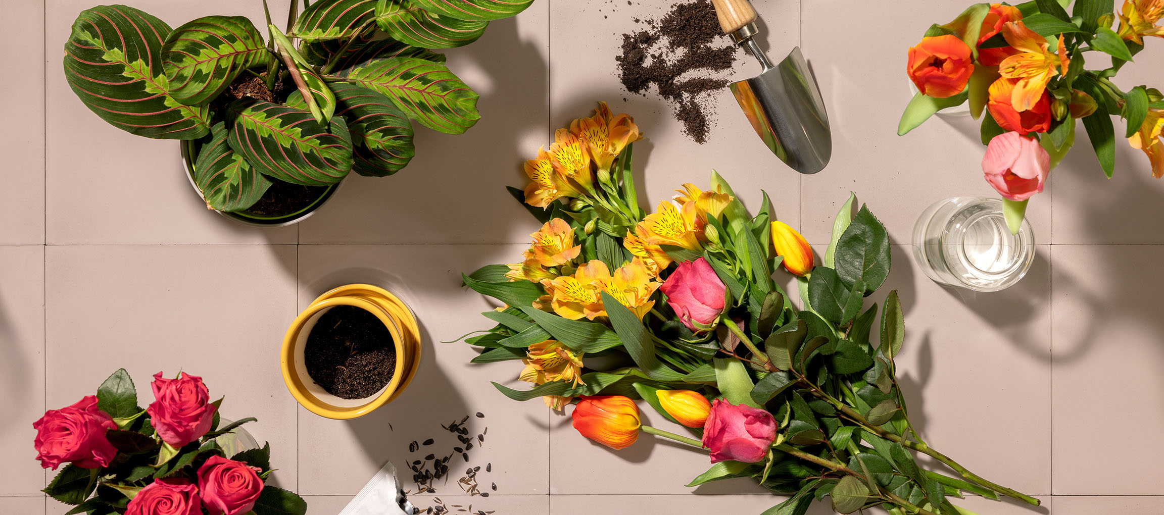 Frische Blumen, Topfpflanze und Gartenwerkzeuge auf hellem Hintergrund.
