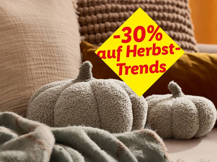 Kuschelige Kürbiskissen und Decken mit -30% auf Herbst-Trends