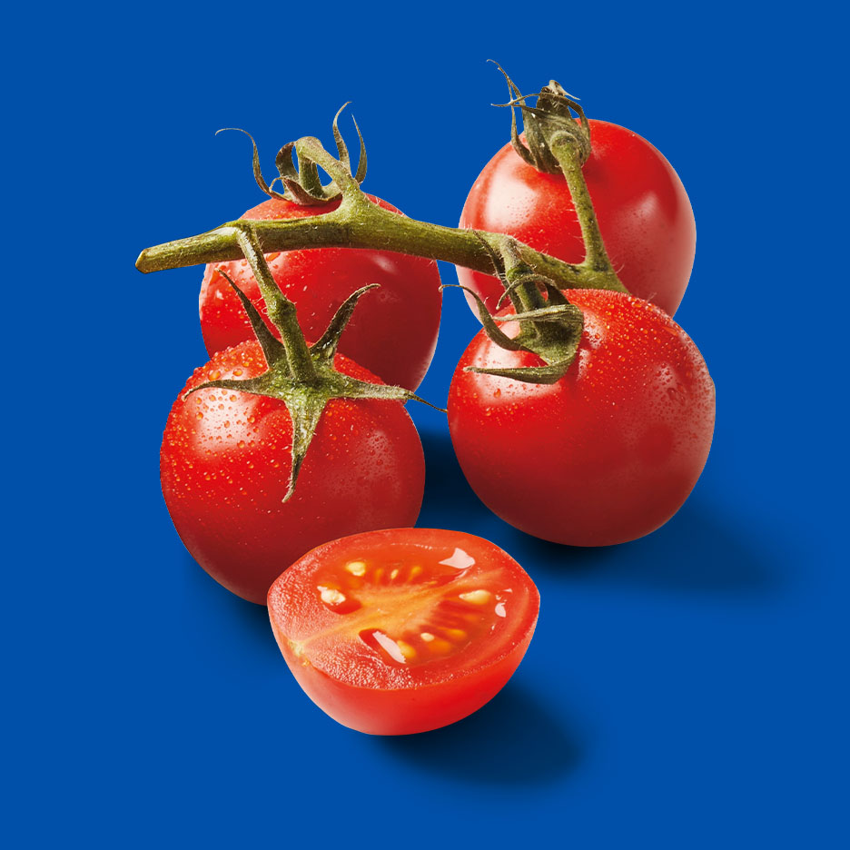 Frische Kirschtomaten am Zweig und eine halbierte Tomate auf blauem Hintergrund