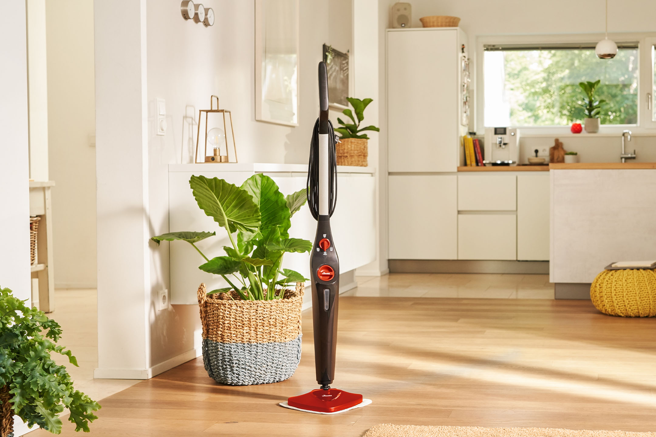 Vileda Dampfbesen auf Holzboden neben einer großen Topfpflanze