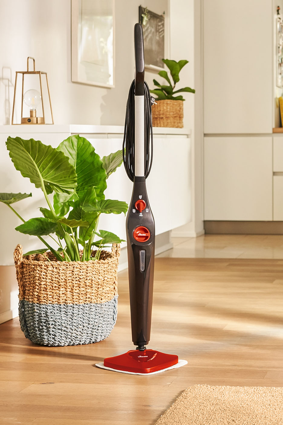 Vileda Dampfbesen auf Holzboden neben einer großen Topfpflanze