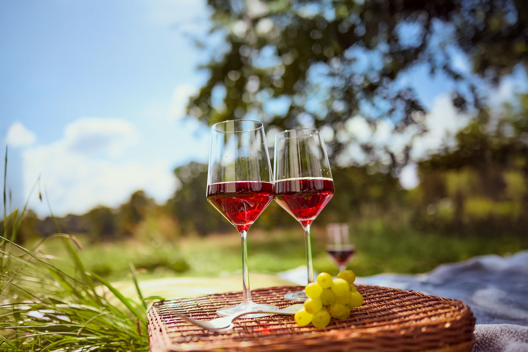 Picknick im Grünen mit zwei Gläsern Rotwein, Weintrauben und einem Weidenkorb.