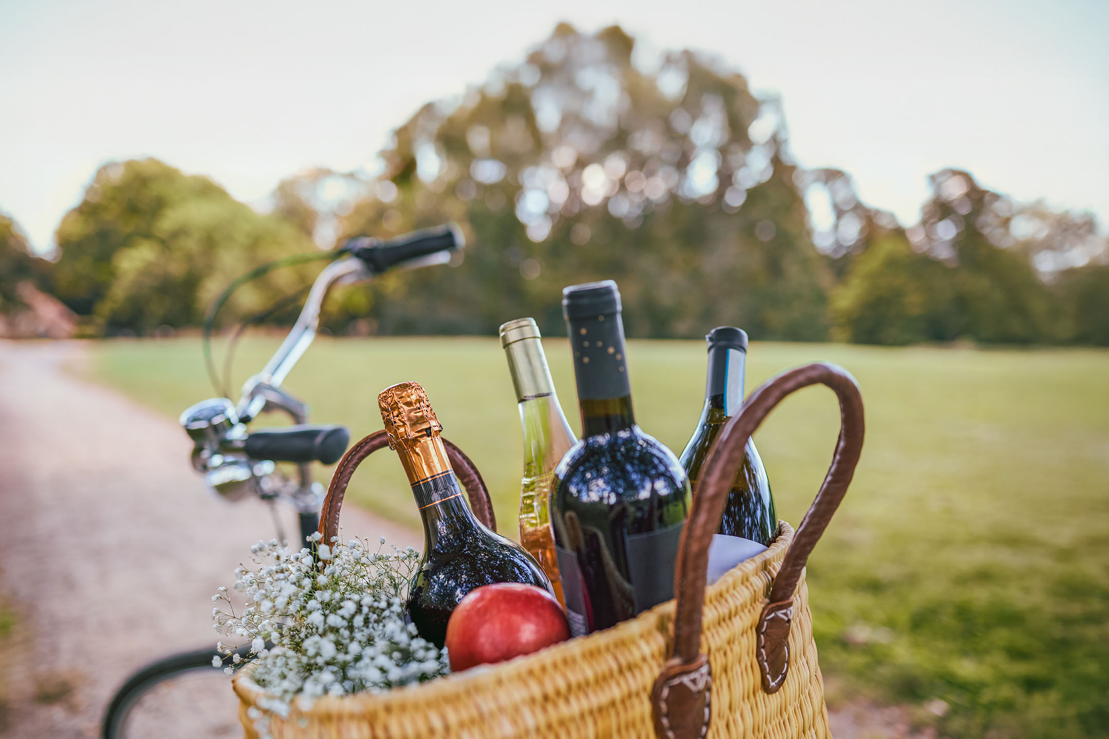 Fahrradkorb mit Weinflaschen, Sekt, Apfel und Schleierkraut im Park.