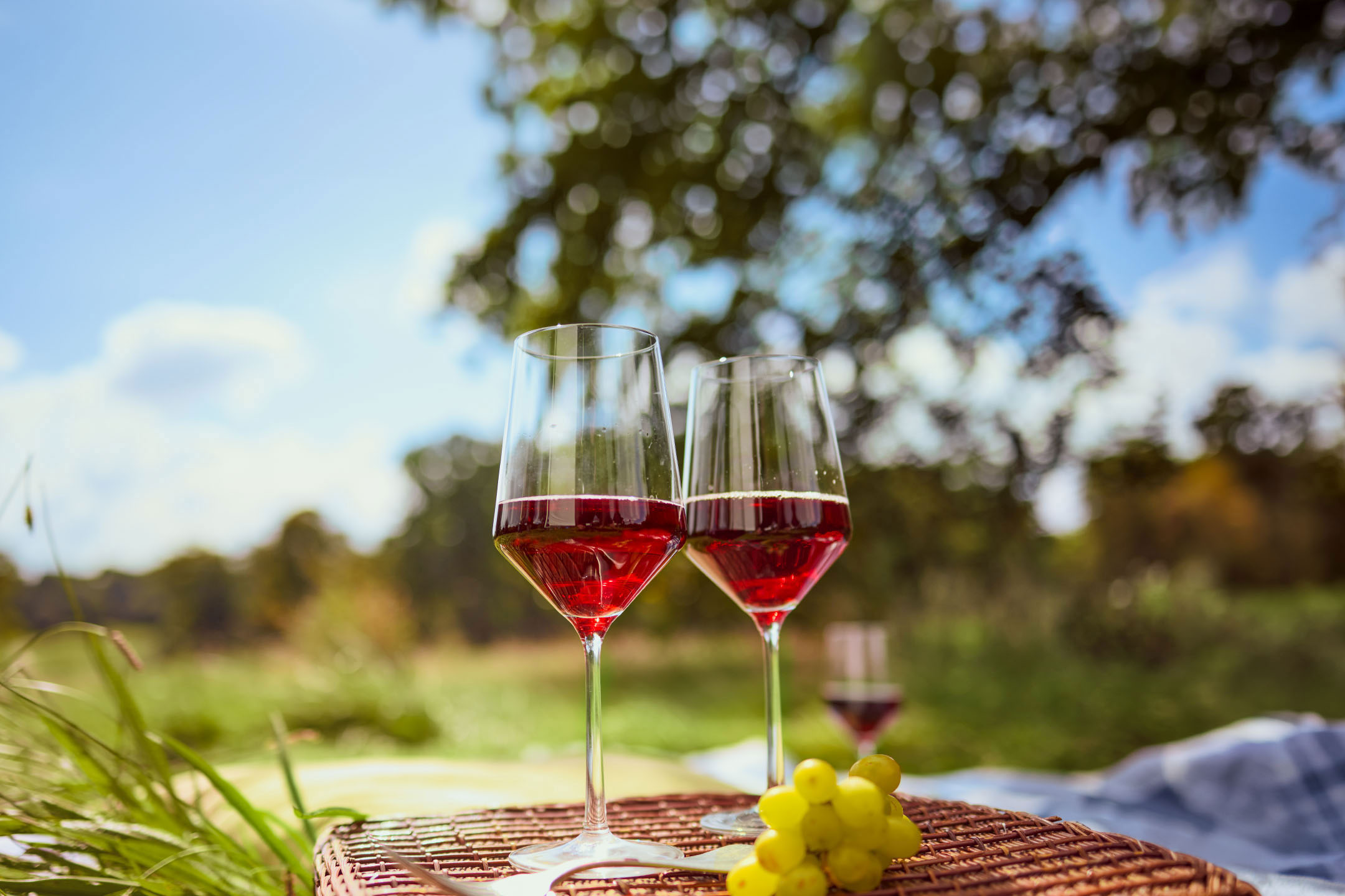 KI-generiert: Zwei Gläser Rotwein und Weintrauben auf einem Picknickkorb im Gras