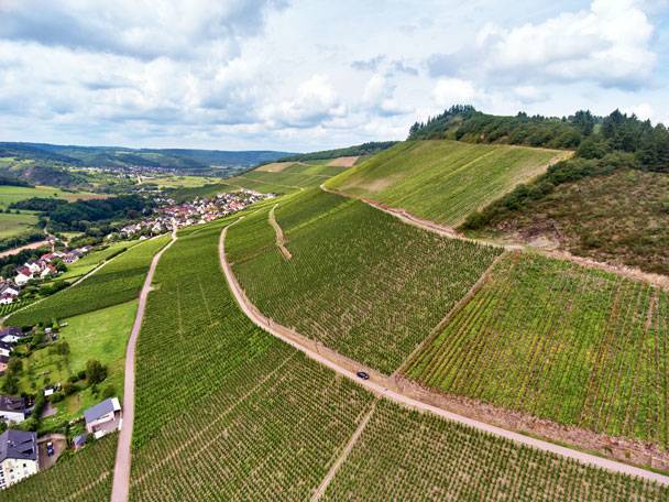 Luftaufnahme von grünen Terrassenweinbergen mit einem Dorf im Hintergrund.