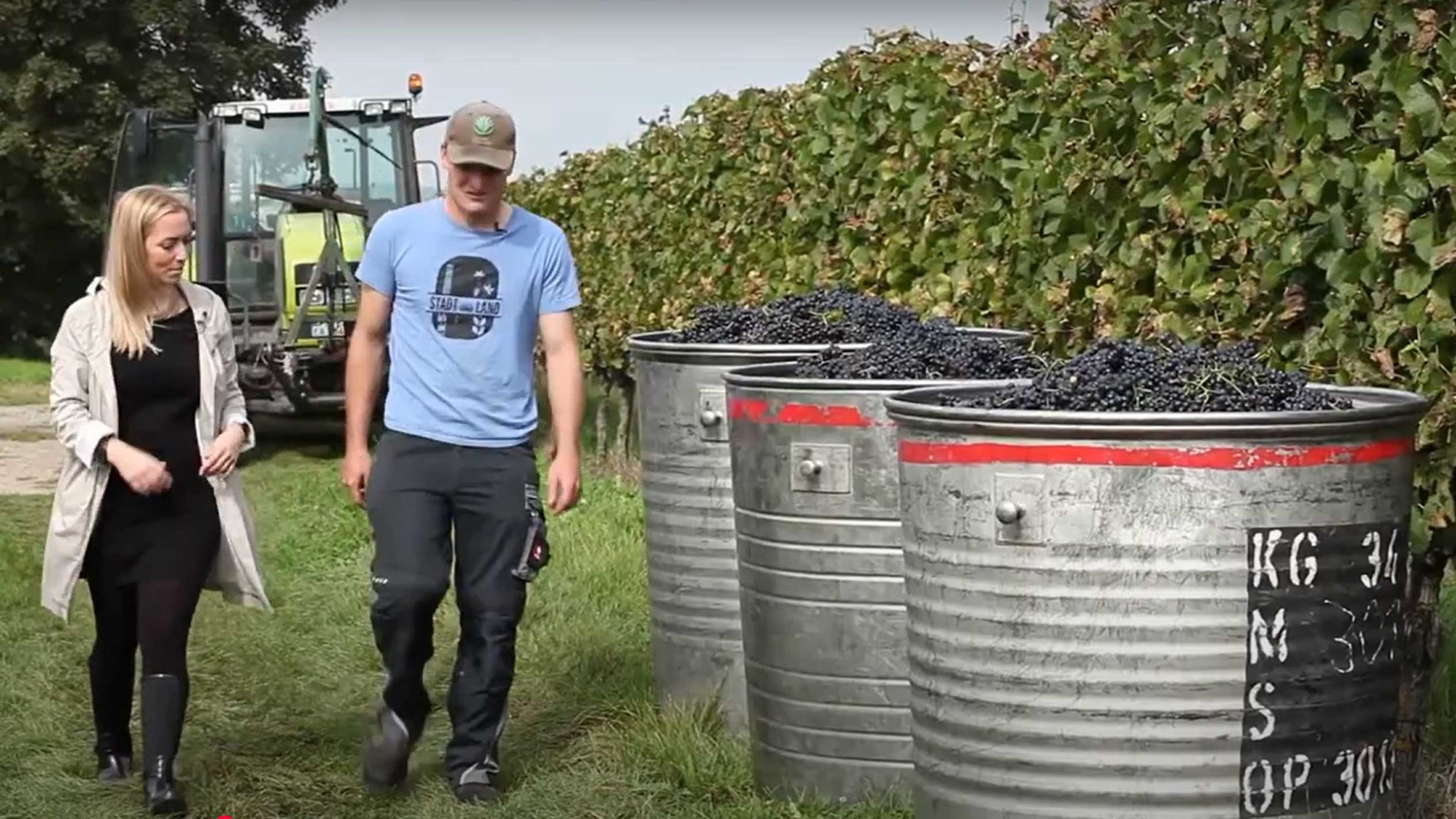Mann und Frau gehen durch einen Weinberg mit Fässern voller Trauben.