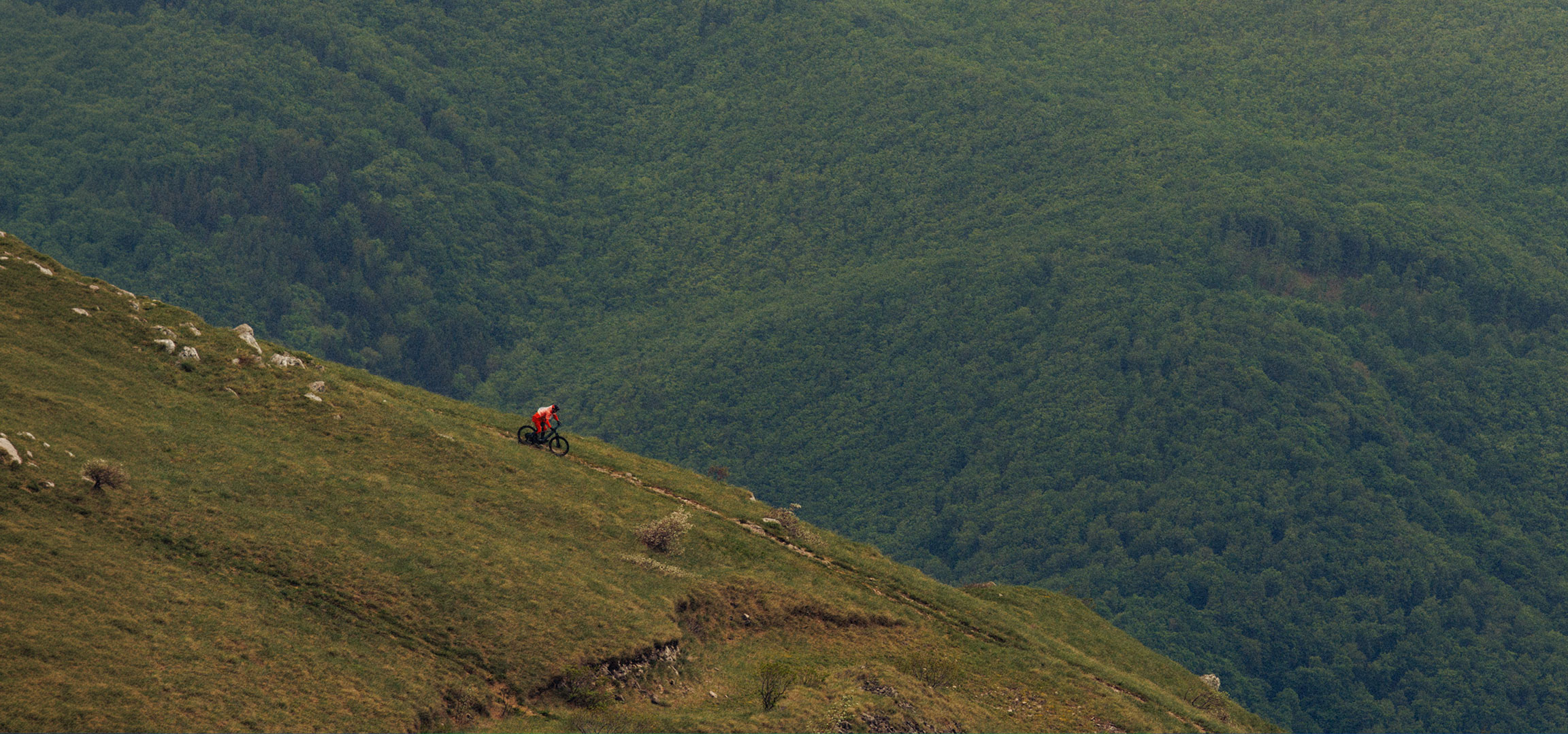 AI-generiert: Mountainbiker in Rot fährt einen grasbewachsenen Hügel hinunter mit dichtem Wald im Hintergrund.