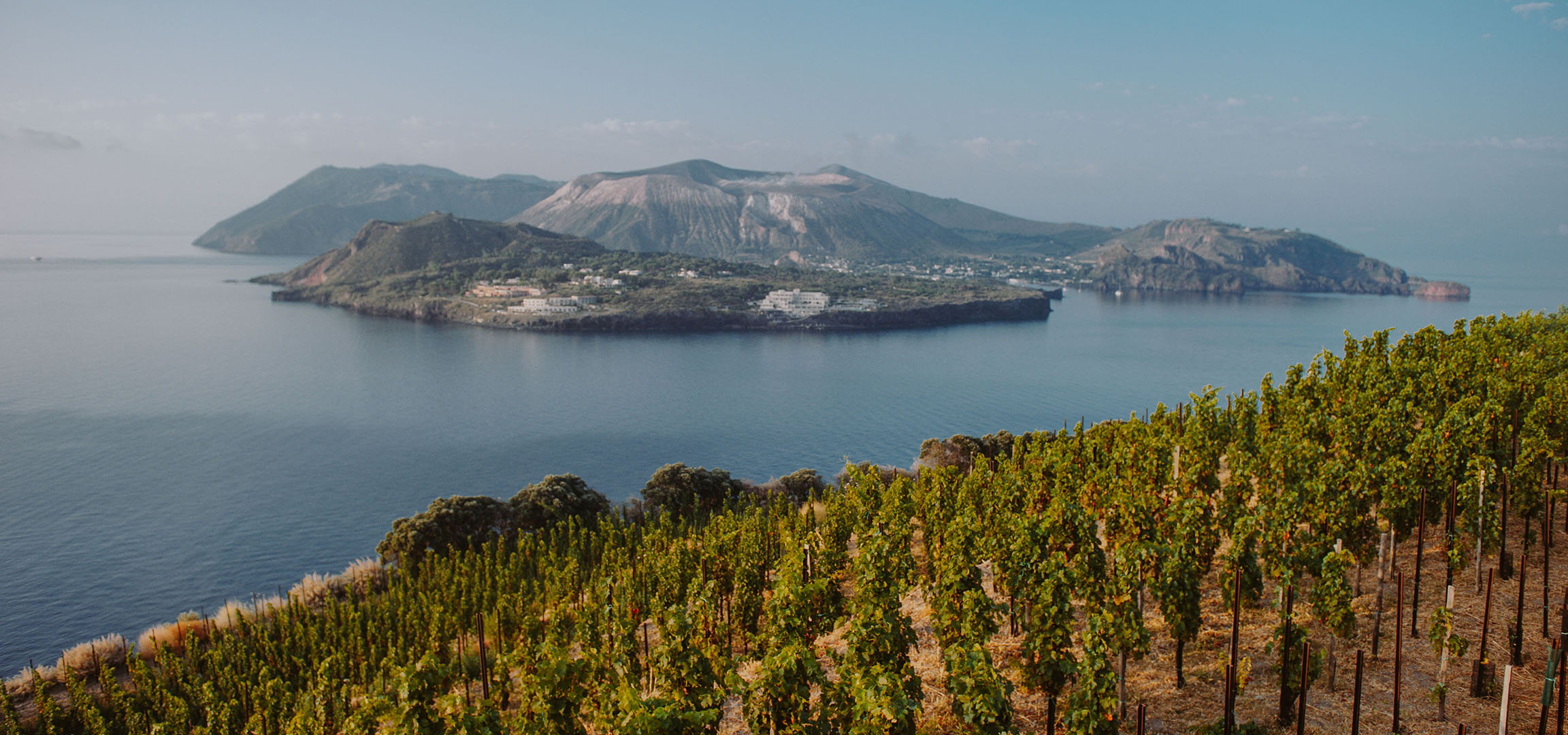 Terrassenförmiger Weinberg mit Blick auf eine Vulkaninsel und das Meer.