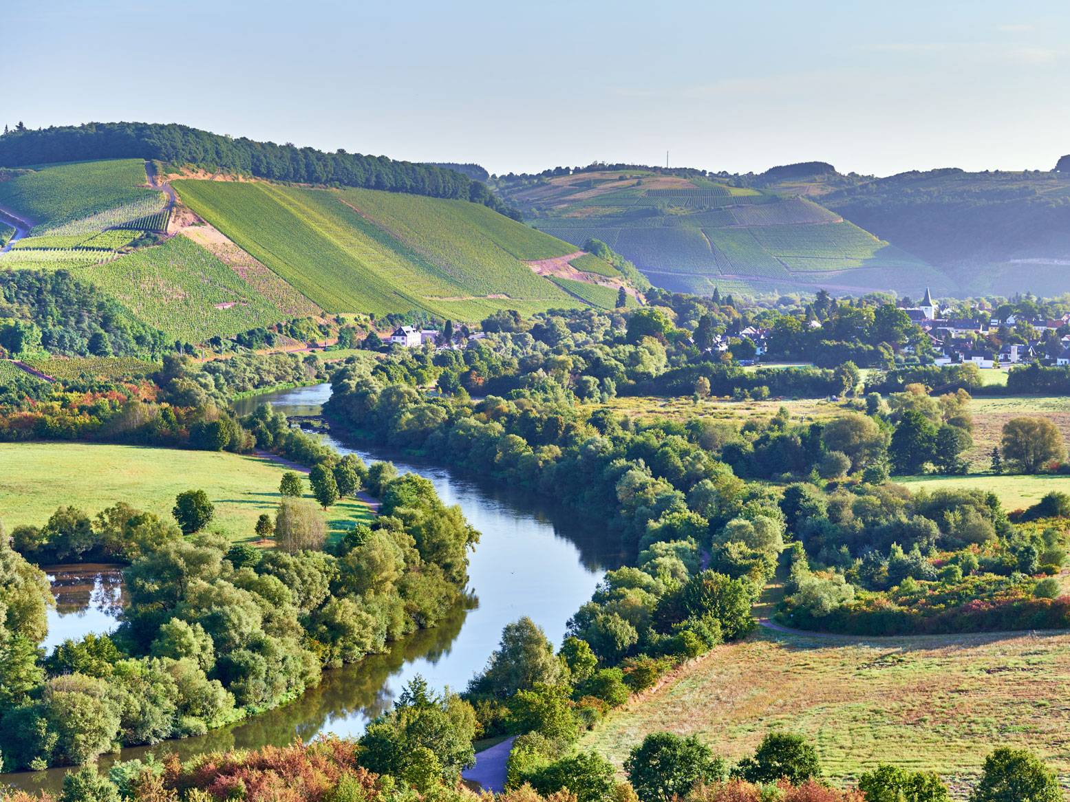 Gewundener Fluss durch grüne Weinberge und ein Dorf mit einer Kirche.