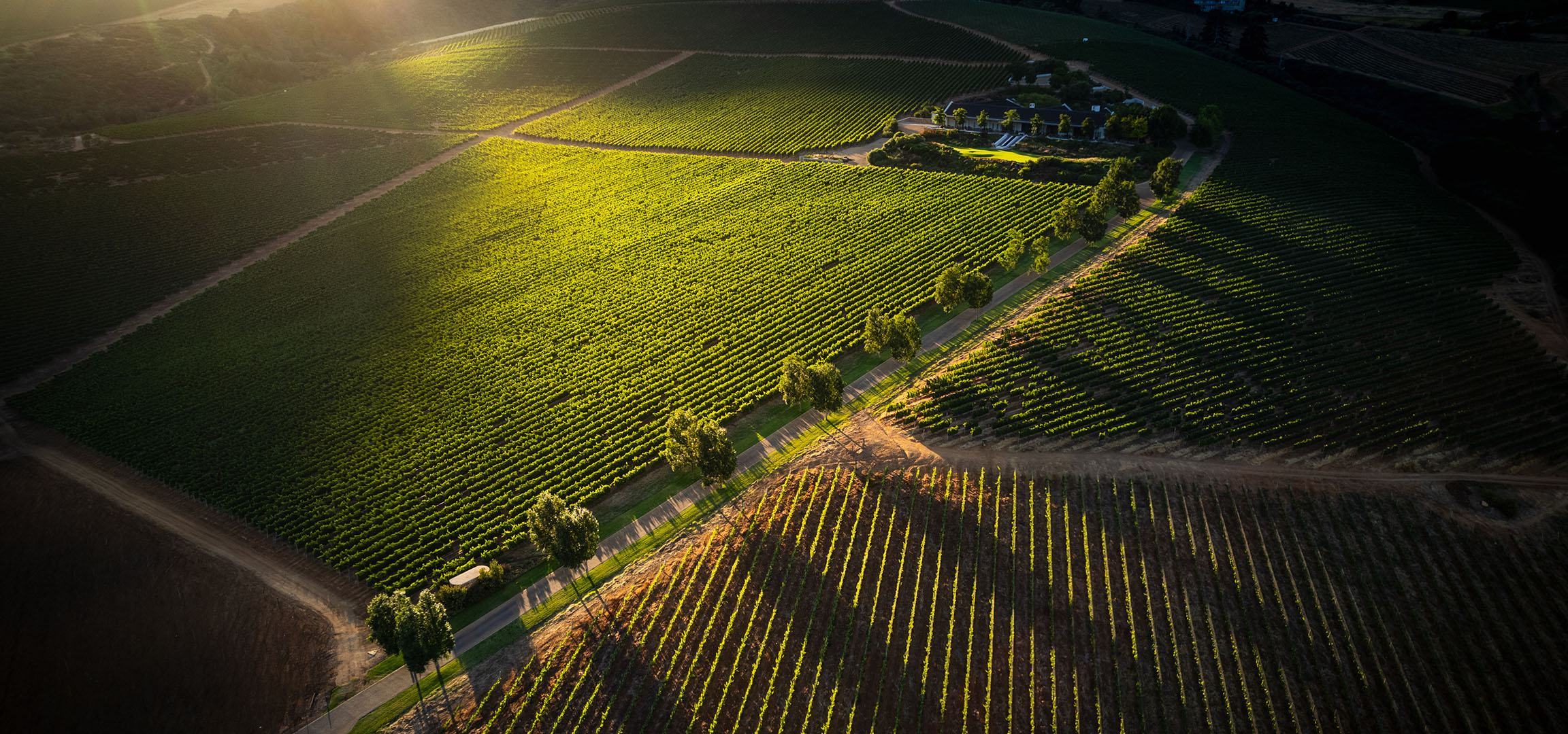 Luftaufnahme eines sonnigen Weinbergs mit einem Haus in der Mitte.
